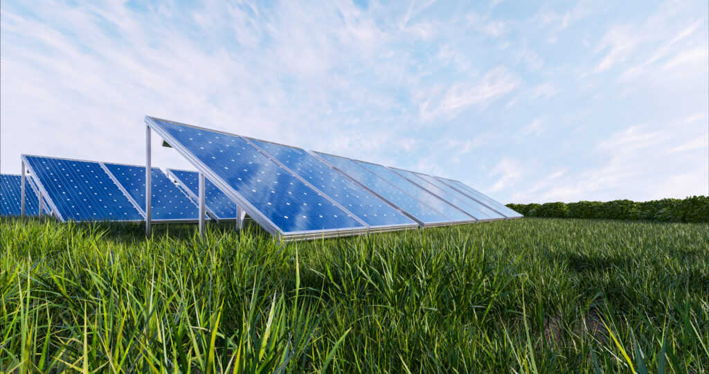Photovoltaikanalage auf einer grünen Wiese