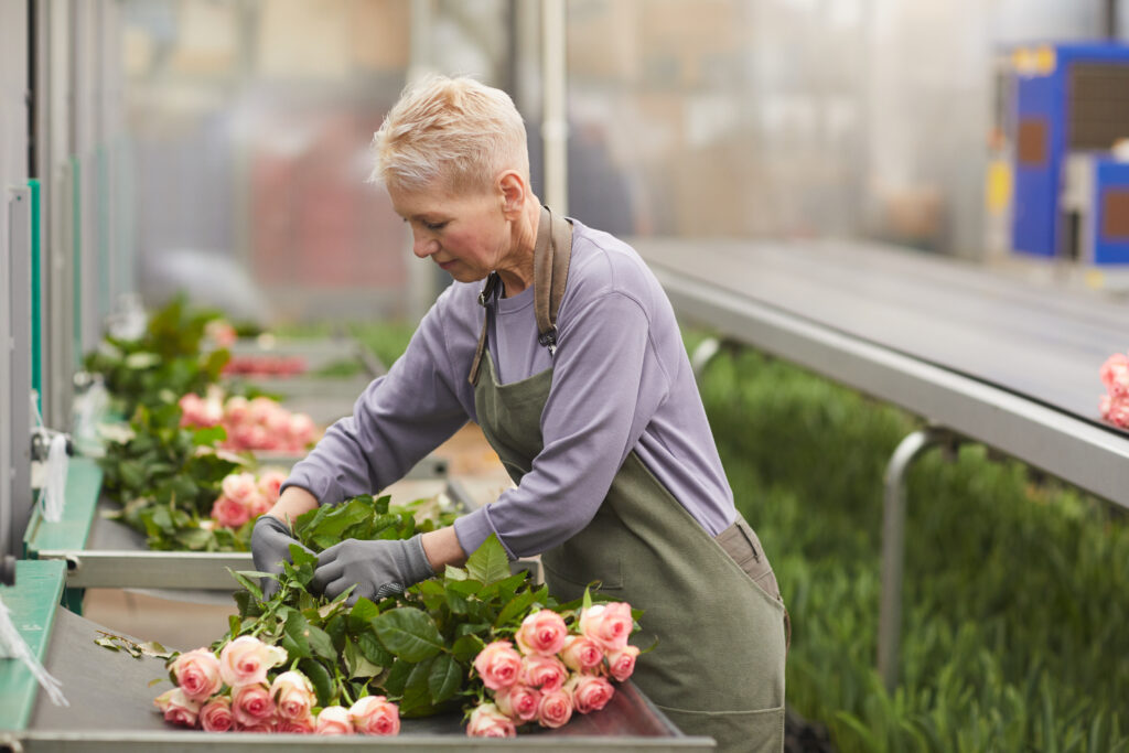 Frau steht an einem Blumentisch und schneidet Rosen