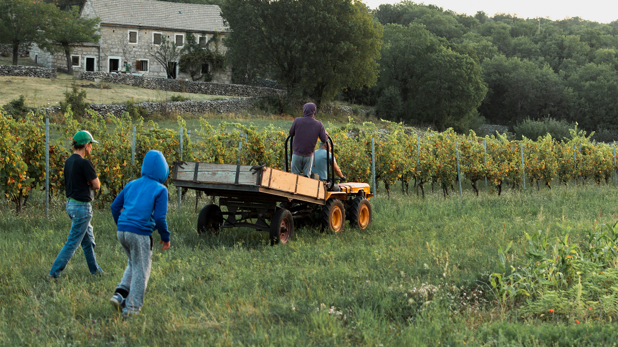 Bauernnetzwerk.at vernetzt Fachkräfte und Betriebe für einen florierenden Agrarmarkt und wettbewerbsfähige Landwirtschaft.