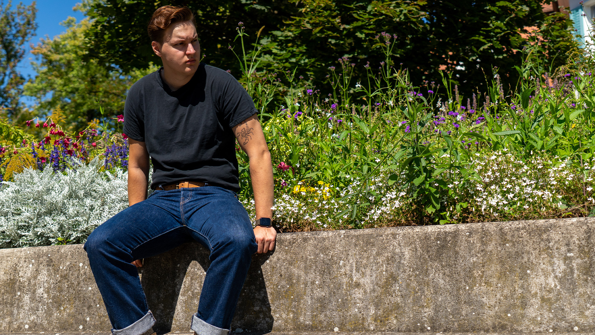 Schnex Media e.U. unterstützt Unternehmen mit transparenten Social Media Strategien im Raum St. Pölten.