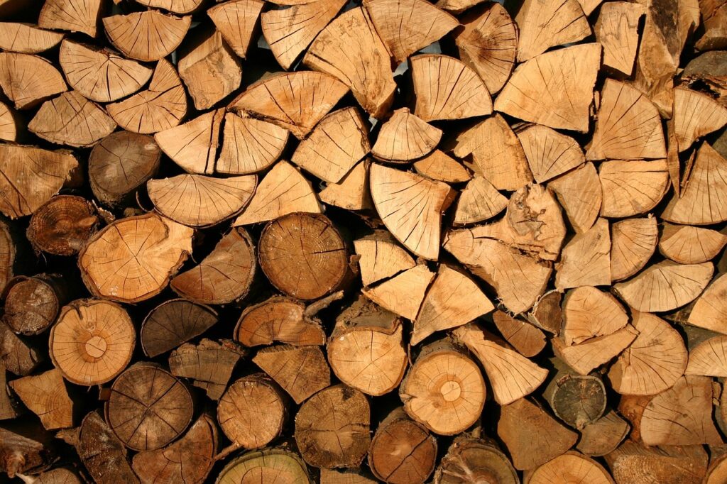Ein ordentlich gestapelter Holzstoß aus trockenem Buchenholz zeigt, wie unterschiedlich Brennholz Preise je nach Qualität und Anbieter ausfallen können – Foto: Pexels / Pixabay