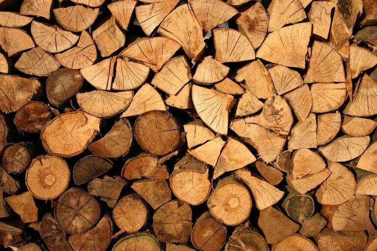 Ein ordentlich gestapelter Holzstoß aus trockenem Buchenholz zeigt, wie unterschiedlich Brennholz Preise je nach Qualität und Anbieter ausfallen können – Foto: Pexels / Pixabay