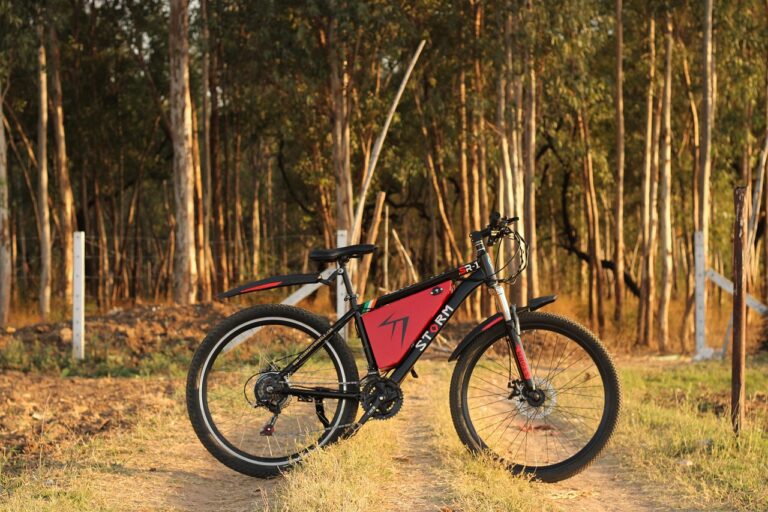 Ein E-Bike-Akku liegt auf einer Ladestation in der Garage, passend zu praktischen E-Bike-Akku-Tipps für längere Lebensdauer – Foto: stormautomobile / Pixabay
