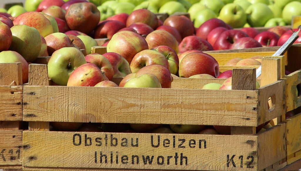 Eine Kiste mit Äpfeln und Zwiebeln zeigt, warum Obst und Gemüse durch die Ernteausfälle teurer werden – Foto: Counselling / Pixabay