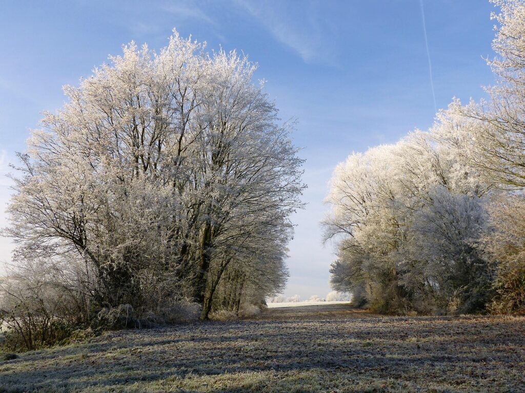 Raureif auf einer Wiese in einem österreichischen Tal zeigt die Kältepole Österreichs am frühen Morgen – Foto: J_Blueberry / Pixabay
