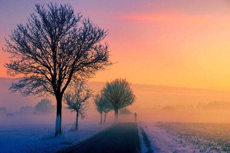 Eine neblige Landstraße mit Raureif am Straßenrand zeigt, wie sich die angekündigte Kältewelle auf Autofahrer auswirken könnte – Foto: jplenio / Pixabay