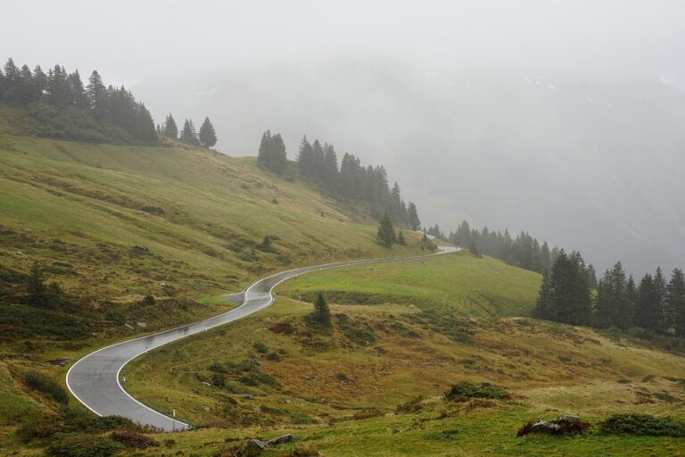 Einspurige Bergstraße mit Ampelregelung, wie sie nach der Öffnung des gesperrten Plöckenpasses galt – Foto: Simoooooooonn / Pixabay