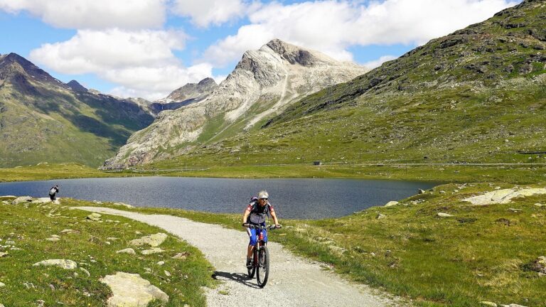 Ein asphaltierter Radweg führt durch eine Alpenlandschaft bei Salzburg mit Bergen im Hintergrund – Foto: Tuor / Pixabay
