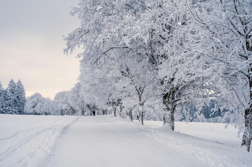 Nasse Bergstraße in Österreich mit frischem Schnee am Straßenrand, dort wo die Schneefallgrenze in Österreich sinkt – Foto: NickyPe / Pixabay