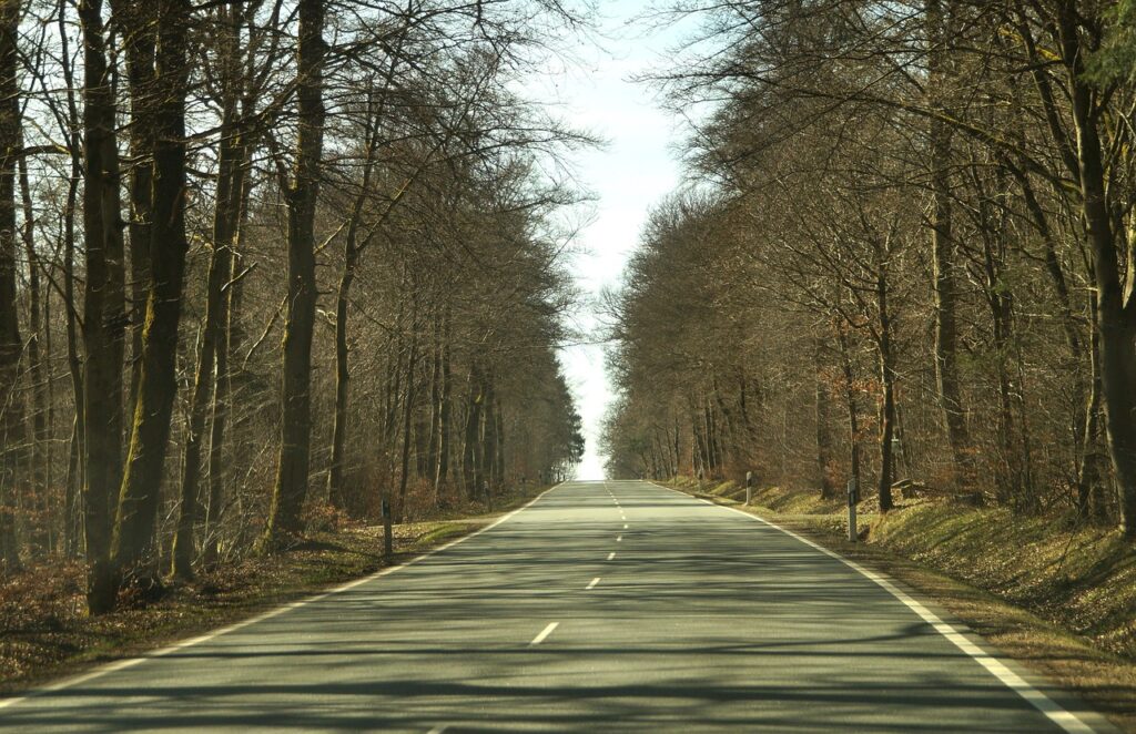 Ein Reh steht in der Dämmerung am Straßenrand, während die Zeitumstellung das Wildunfall-Risiko erhöht – Foto: Monsterkoi / Pixabay